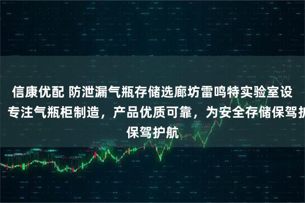 信康优配 防泄漏气瓶存储选廊坊雷鸣特实验室设备，专注气瓶柜制造，产品优质可靠，为安全存储保驾护航