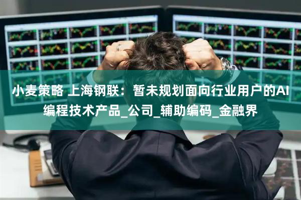 小麦策略 上海钢联：暂未规划面向行业用户的AI编程技术产品_公司_辅助编码_金融界