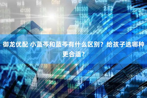 御龙优配 小蓝芩和蓝芩有什么区别？给孩子选哪种更合适？
