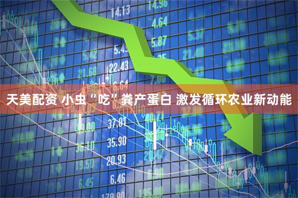 天美配资 小虫“吃”粪产蛋白 激发循环农业新动能