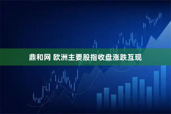 鼎和网 欧洲主要股指收盘涨跌互现
